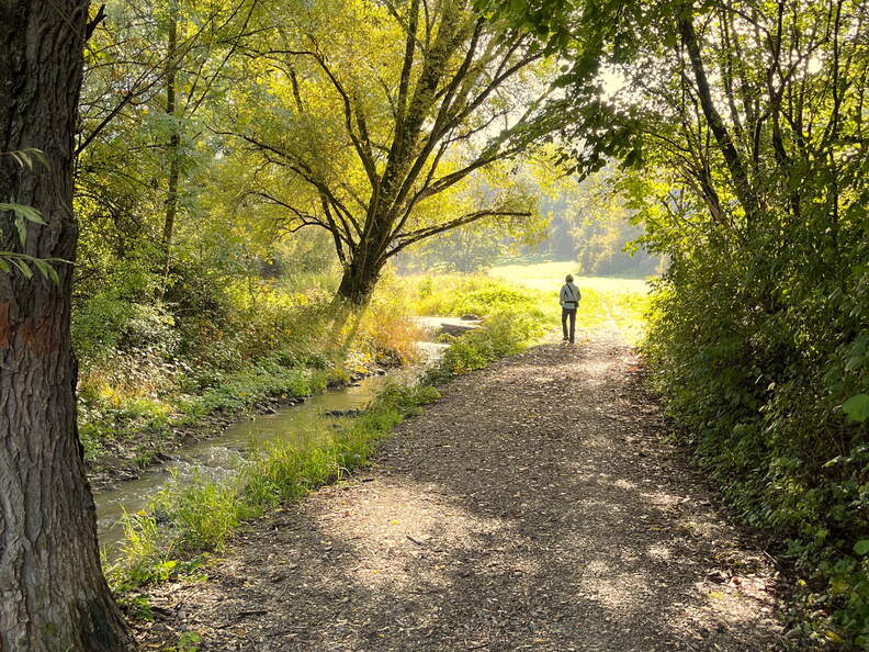 22-10-03 10-58-36 2194